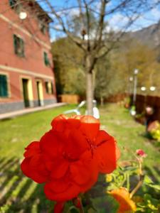 En have udenfor Villa Bella bed and breakfast