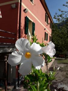 Φωτογραφία από το άλμπουμ του Villa Bella bed and breakfast σε Favale di Malvaro