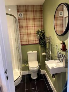 a bathroom with a toilet and a sink and a mirror at Greenfinch Lodge in Norton Heath