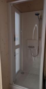 eine Dusche mit Glastür im Badezimmer in der Unterkunft Localodge - chalet en bois in Caves + 12 Fotos