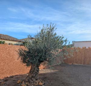 ein kleiner Baum in einem Garten neben einem Zaun in der Unterkunft Localodge - chalet en bois in Caves