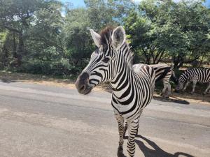 Φωτογραφία από το άλμπουμ του Neotha Villa σε Marloth Park