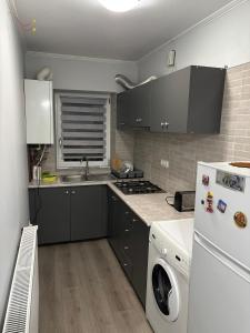 Η κουζίνα ή μικρή κουζίνα στο Garsoniera Rovine