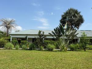 a house with a palm tree in front of a yard at Villa Casa Houback in Oussouye
