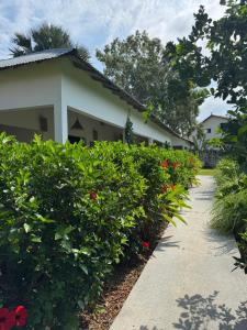 a building with a sidewalk next to some flowers at Villa Casa Houback in Oussouye
