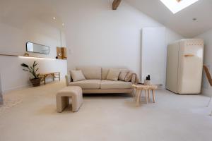 ein Wohnzimmer mit Couch und Kühlschrank in der Unterkunft New ! Sublime loft, Spa & Sauna, Place des Vosges in Épinal