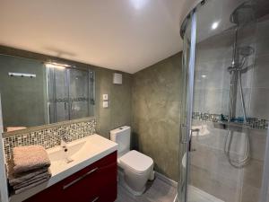 ein Badezimmer mit Dusche, Toilette und Waschbecken in der Unterkunft Gîte du Cerisier - Studio nature détente in Vallet