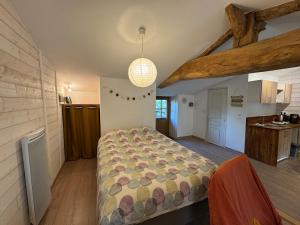 ein Schlafzimmer mit einem Bett in der Mitte eines Zimmers in der Unterkunft Gîte du Cerisier - Studio nature détente in Vallet
