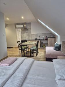 Kuchyň nebo kuchyňský kout v ubytování Noclegi u Alicji + 35 fotografií