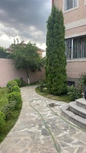 Κήπος έξω από το Avan Luxury villa