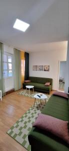 Una sala de estar con un sofá verde y una mesa. en Apartman Ćirić, en Ivanjica