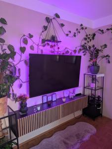 a living room with a purple wall with a flat screen tv at Wunderschöne helle große Wohnung in Größing