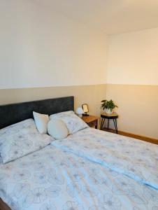 Un pat sau paturi într-o cameră la Wunderschöne helle große Wohnung