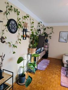 Imagine din galeria proprietății Wunderschöne helle große Wohnung în Größing