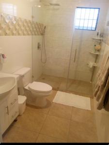 une salle de bain avec toilettes et douche en verre dans l'établissement Apartamento en el residencial reparto los tres ojos, à Ensanche Savica de Mendoza