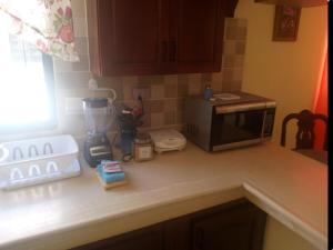 un comptoir de cuisine avec un micro-ondes et un mixeur dans l'établissement Apartamento en el residencial reparto los tres ojos, à Ensanche Savica de Mendoza 15 autres photos