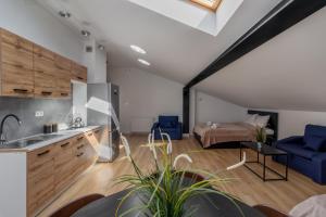 Η κουζίνα ή μικρή κουζίνα στο Golden Apartments Waw - Old Town - Marcinkowskiego #5