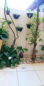 a wall with potted plants on it at Mini Garden kitnet in Paranavaí