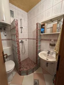 un bagno con doccia, WC e lavandino di Apartman Humska a Sarajevo