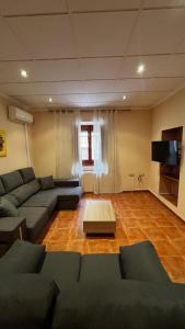 a large living room with couches and a television at La Casa Azul in Cehegín