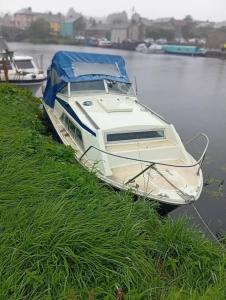 ein weißes Boot mit einer blauen Plane auf dem Wasser in der Unterkunft A Mini Cruise in Limerick Escape to nature 2 nites for 150 euros in Adare