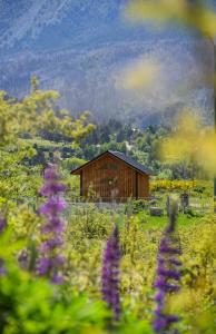 Galeriebild der Unterkunft Cabañas Altramuz in El Hoyo