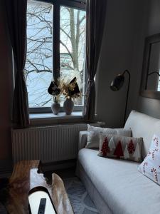 ein Wohnzimmer mit einer Couch und einem Fenster in der Unterkunft Apartment Baltica in Rostock