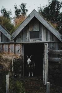 ハヴォルスヴォルールにあるAris placeのギャラリーの写真 +7枚の写真