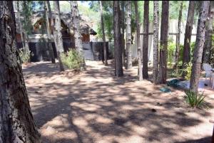 een bos van bomen met een huis op de achtergrond bij Les hirondelles in Piriápolis