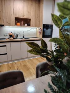 Kuchyň nebo kuchyňský kout v ubytování Apartman NIT Zlatibor