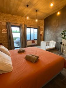 Φωτογραφία από το άλμπουμ του Bubbles & Balance - with private pool, jacuzzi and sauna σε Ichtegem