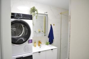 a bathroom with a washing machine and a sink at Ferienwohnung mit Free Parking in Romanshorn