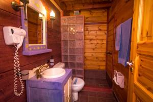 Koupelna v ubytování Colours' Chalet