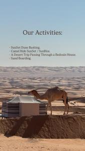 Φωτογραφία από το άλμπουμ του FYAFY Bidiyah Bedouin Camp σε Badīyah