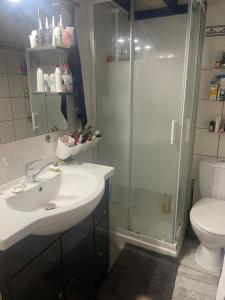 a bathroom with a sink and a shower and a toilet at Petite Maison Cocooning in Leucate-Plage