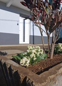 Fotografie z fotogalerie ubytování Arco-Íris v destinaci Canhas