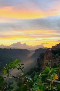 Příroda nedaleko apartmánu + 27 fotografií