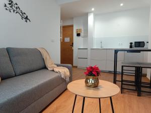 Kuchyň nebo kuchyňský kout v ubytování Hotel Arias