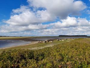 Φυσικό τοπίο κοντά σε αυτή η παραθεριστική κατοικία +36 φωτογραφίες