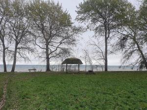 Naturlandskabet i nærheden af feriehuset