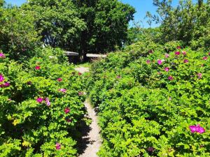 En have udenfor 6 person holiday home in Bjert-By Traum