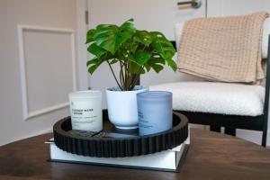 Ảnh trong thư viện ảnh của Lux Bronx Apt Rooftop, Pool, Gym, Cinema ở Mott Haven