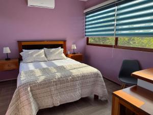 a purple bedroom with a bed and a window at Casa en Huerto Frutal in Chicanna