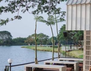 a view of a lake with tables and palm trees at TJ Brother Residences Cengkareng in Jakarta
