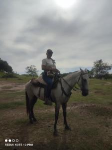 Άλλα ζώα σε αυτός ο ξενώνας ή στη γύρω περιοχή