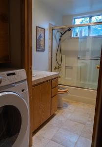 ein Badezimmer mit Waschmaschine und Dusche in der Unterkunft Sunshine Cabin Cozy 3BR Getaway and Deck in Pine Mountain Club