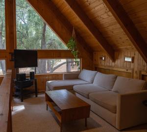 ein Wohnzimmer mit einem Sofa und einem TV in einer Hütte in der Unterkunft Sunshine Cabin Cozy 3BR Getaway and Deck in Pine Mountain Club