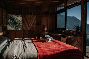 a dog laying on a bed in a room with windows at Lake Atitlán Panorama Chalets in San Marcos La Laguna +16 photos