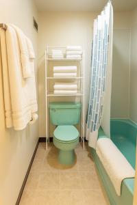 a bathroom with a green toilet and a shower at 2BR Downtown apt Amazing View Free Parking & Gym in Saskatoon +29 photos