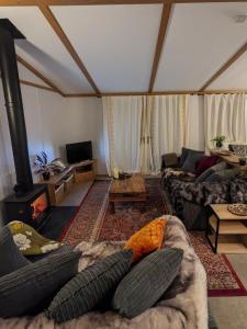 a living room with a couch and a fireplace at Nyth y Dryw in Machynlleth